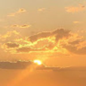 Meet your Posher, Farai